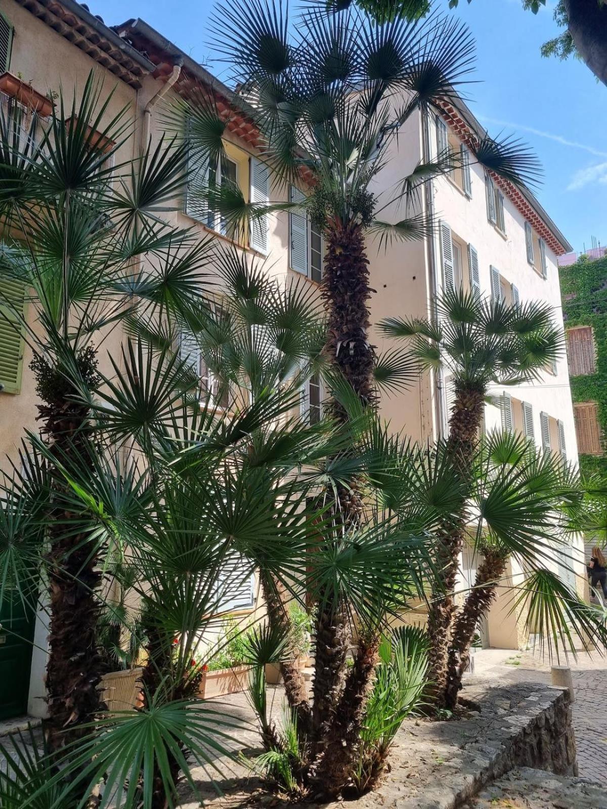 06An - Beautiful Apartment In The Heart Of Old Antibes Luaran gambar
